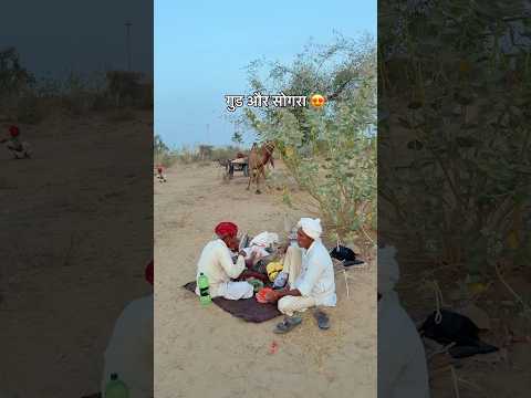 गुड़ और सोगरा 😍 #rajasthan #food #youtubeshorts #desi #khana #shorts #foodie #village #mela #reel