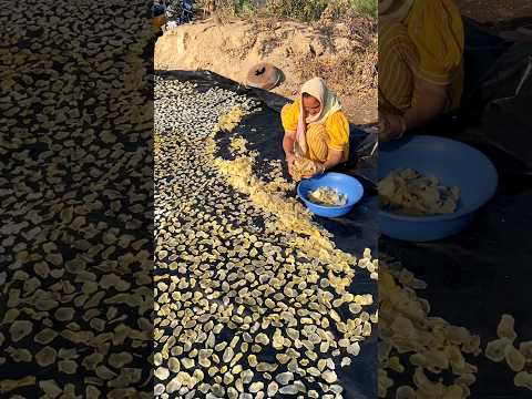 Kathiyawadi style Potato wafers #shorts #easy #desi #fame #wafer #reels #vileg #gamdu