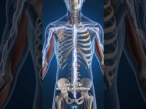 Why do humans Sweat ? | #3danimation #shorts #bodyscience #viral