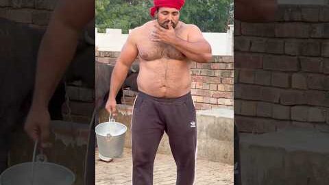 Desi CHOBAR🔥🦬 #desijatt #desi #pindawale #bodybuilder #shorts #body