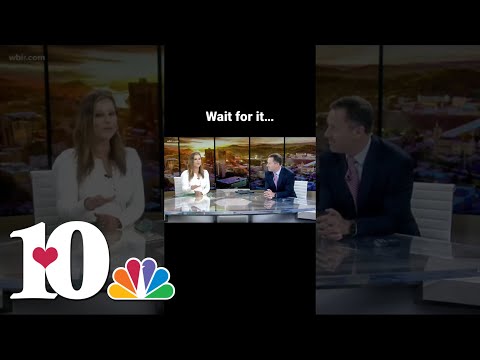 News bloopers…there was a wasp in the studio