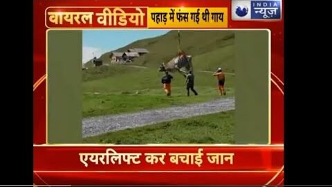 Top Viral Videos, आज की बड़ी वायरल वीडियो, Viral Breaking, 11th September 2020 India News
