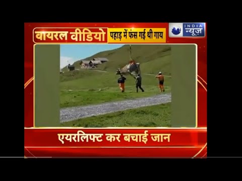Top Viral Videos, आज की बड़ी वायरल वीडियो, Viral Breaking, 11th September 2020 India News