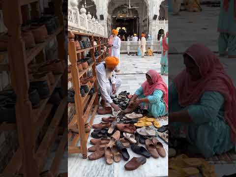 tere dar aya malika @SadhanPath @BhajanMarg @Hit_Das #viral #trending #ytshorts #katha