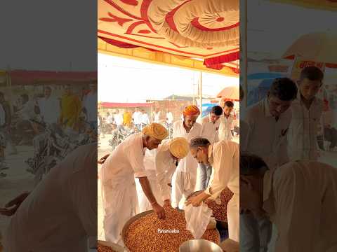 मेले के नजारे😍 #desi #sukun #villagelife #nature #festival