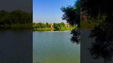 Udaariyaan 💗🫠 ~ Satinder Sartaj | Punjabi song | Lyricsgirl-t | #song #shorts #lyrics