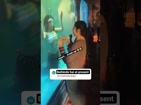 jalparii #trending #shorts #viral #video #new #punjabisong #trending #punjab #jalpari