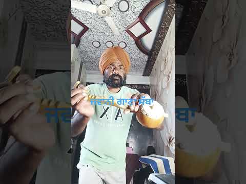 Jawani  | Sabba | Meavin |New Punjabi Song 2026 | Latest PunjabiSong 2026