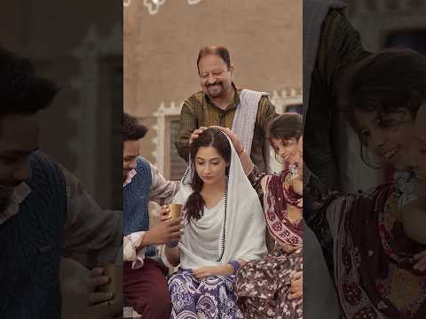 Waris 💕 Pure Love Vibes | Nav Dolorain #shorts #newpunjabisong #trending