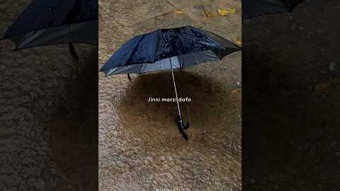 Temporary Pyar | KAKA | Anjali Arora | New Punjabi Songs | Lyricsgirl-t | #song #shorts #lyrics