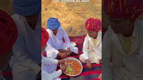 देसी पशुपालक का जीवन दिनचर्या 😍 #desi #life #rajasthan #rajasthani #village #facts #shorts