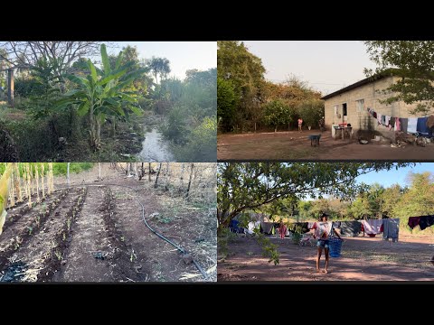 ANDO MUY ENOJADO, SE COMIERON MIS TOMATES 😡😤+mary habla con suabuelita #anime #hasmeviral #viral