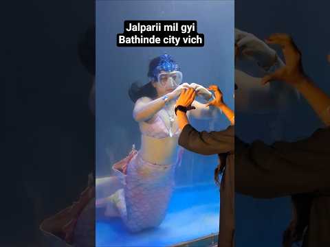 Jalparii 😁 #trending #shorts #new #punjabisong #preetkaur0006 #viral #reels #jalpari #punjabimusic