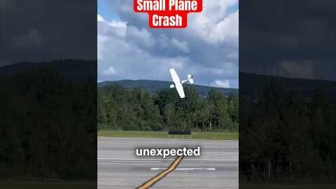 The real story behind this viral video #plane #crash #pilot