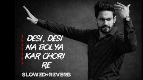 Desi Desi Na Bolya Kar Chori Re – Apna Swag Alag Se” song ⚜️#desi #desi #song #slowedandreverb