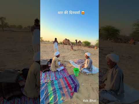 थार की दिनचर्या 😘 #desi #food #rajasthan #khana #roti #youtubeshorts #villagelife #reel #shorts