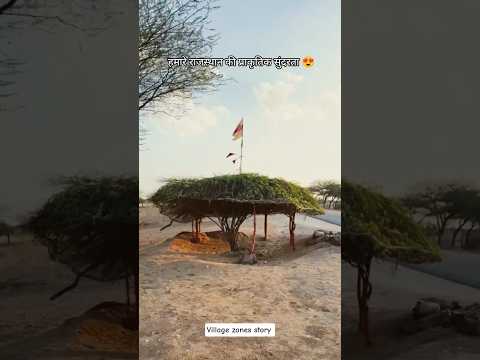 हमारे राजस्थान के प्राकृतिक सुंदरता 😍 #villagelife #desi #marwadilife #desi #nature #desibeauty