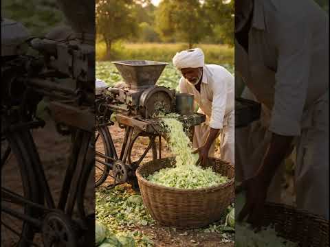 Desi Jugaad Machine ЁЯШ▓ | Cycle Engine Se Gobhi Cutting Machine ЁЯем | Amazing Farmer Innovation