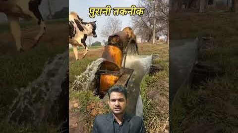 Bull vs Engine: Rajasthan Farmer’s Amazing Desi Trick #Shorts #Viral