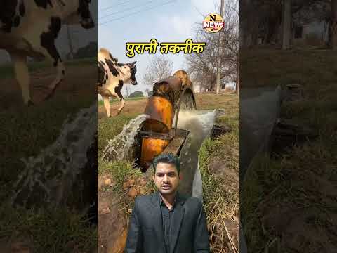 Bull vs Engine: Rajasthan Farmer’s Amazing Desi Trick #Shorts #Viral
