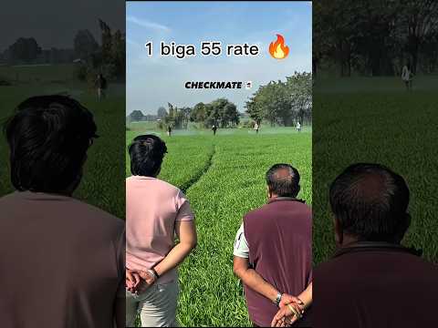 Farmer Life: Struggle to Success 🌾🔥 | Desi Power | #kisan #shorts #farming #desi