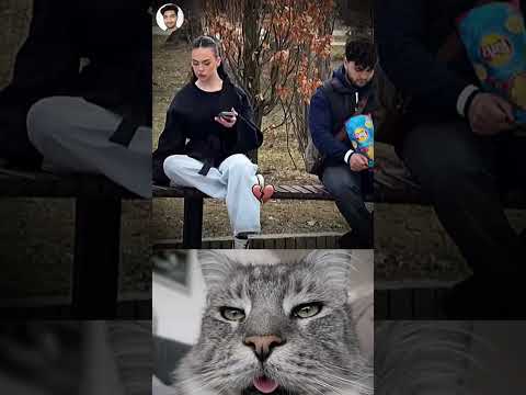 He Brought Chips She Brought Heartbreak ππ
#funny #memes #cat #trending