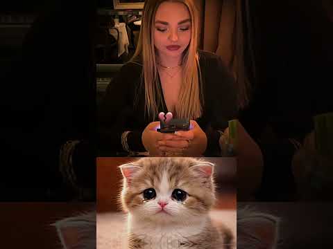 Wait For The Twist You Won’t Expect This 😳✨🔥😅 #funny #memes #cat #trending