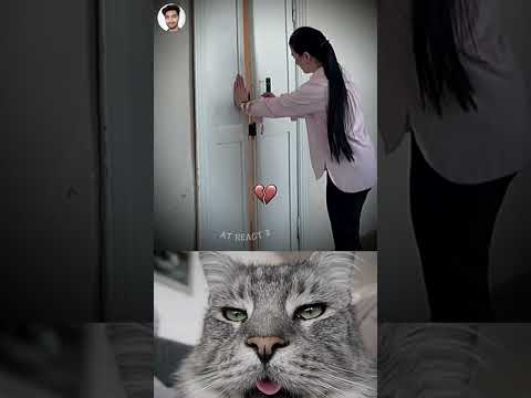 The Door Was Locked So They Did THIS π³πͺπ
#funny #memes #cat #trending