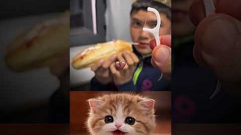 Smart Hack Or Just Weird? 😳😅 #funny #memes #cat #trending