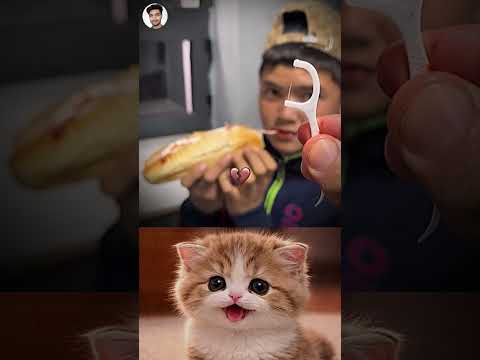 Smart Hack Or Just Weird? 😳😅 #funny #memes #cat #trending