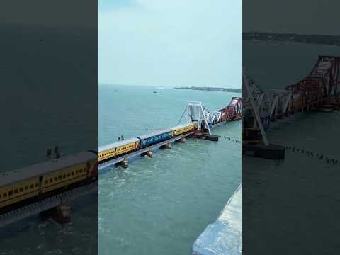 जब पुरा ट्रेन बह गया समुद्र में #viral #trending #india #video #ytshorts #facts