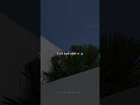 ਤੈਨੂੰ ਵਿਚ ਖਾਂਵਾ ਦੇ 🥺🥰 | NEW PUNJABI SHORT VIDEOS | PUNJABI SHORT | SAD VIDEOS | Yuvi_xtweetz | #love