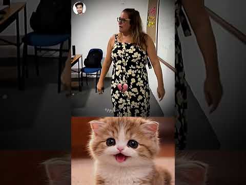 Mocked Teacher Regretted Instantly 😳😅 #funny #memes #cat #trending