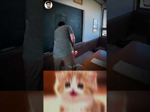 Whole Class Laughed Then THIS Happened 😳😅 #funny #memes #cat #trending