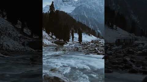 Hai tumana hume ❤️🩹 #viral #new #song #newsong