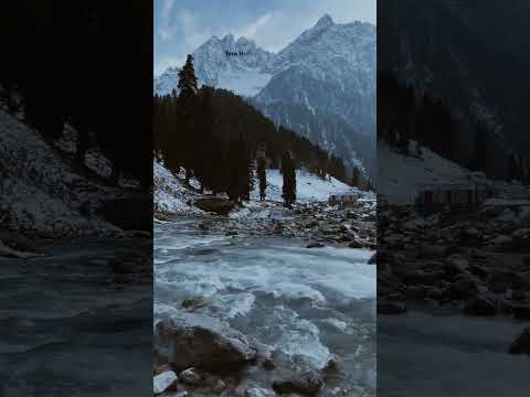 Hai tumana hume ❤️🩹 #viral #new #song #newsong