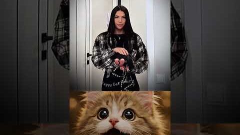 Free Kiss Offer But Plot Twist 😳💔😅 #funny #memes #cat #trending