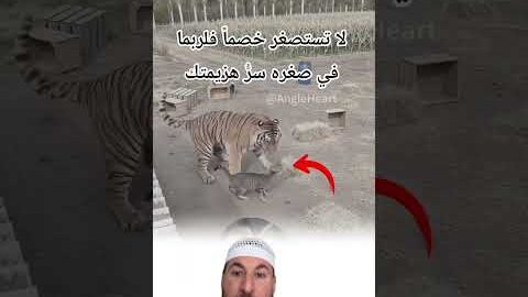 لا تستصغر أحداً فلعل الله جعل فيه نجاة غيره#viral #youtuber