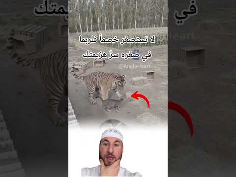 لا تستصغر أحداً فلعل الله جعل فيه نجاة غيره#viral #youtuber
