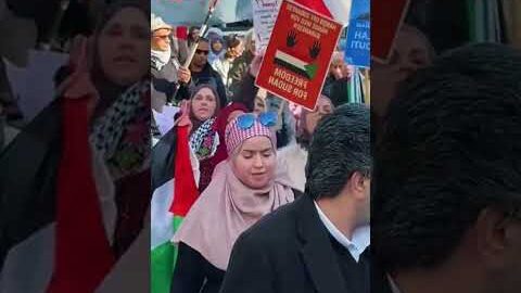 women’s support for free palastain#gaza #music #praiseandworship #freepalestine​ #trending​ #shorts​