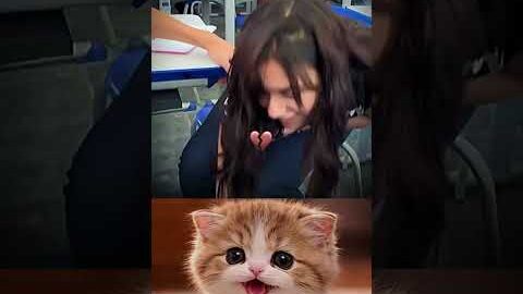 She Got Humiliated Then This Happened 😳🔥😅 #funny #memes #cat #trending