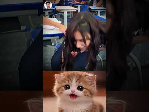 She Got Humiliated Then This Happened π³π₯π
#funny #memes #cat #trending