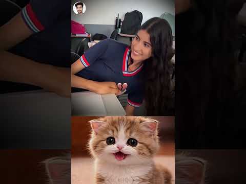 From Heartbreak to Savage Comeback 💔🔥😅 #funny #memes #cat #trending