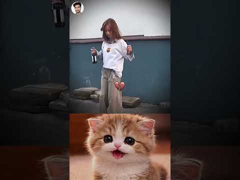She Turned Heartbreak Into Skill Watch This 😮⚽💔😅 #funny #memes #cat #trending
