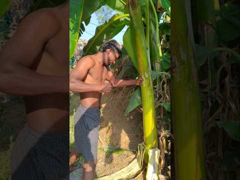 कुछ भी हो हार नहीं मानेंगे 😱😱  #best #desi #desi #motivation #most #viral #shorts