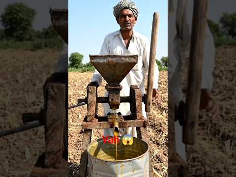 surajmukhi phoolon ka tel nikaalne ka machine#desi jugaad#YouTube#short 😱😱😱😱😱😱😱