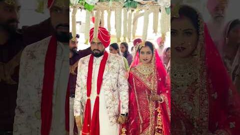 Teri meri jodi ❤️ #shorts #shortvideo #love #punjabisong #viralvideo #trending #video #song #explore