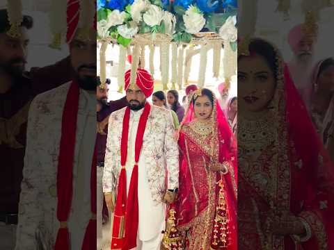 Teri meri jodi ❤️ #shorts #shortvideo #love #punjabisong #viralvideo #trending #video #song #explore