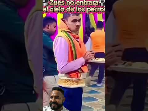 Zeus será que podrá entrar jaja #shorts #humor #comedy #funny #short #memes #youtubeshorts #youtube