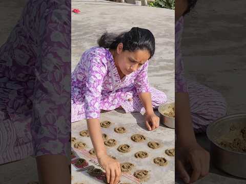 🦗🦗Machharon ka desi ant jugad✅ #minivlog #dailyvlog #youtubeshorts #shorts #food #recipe #vlog